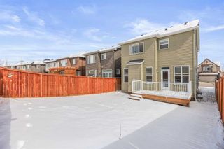 Photo 34: 67 Nolancrest Rise NW in Calgary: Nolan Hill Detached for sale : MLS®# A2124134