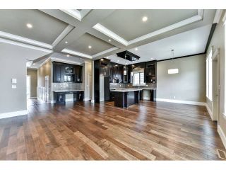 Photo 4: 20955 80A Avenue in Langley: Willoughby Heights House for sale : MLS®# F1438496