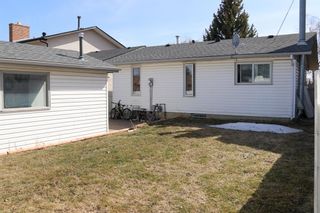 Photo 23: 55 Templehill Drive NE in Calgary: Temple Detached for sale : MLS®# A2041404