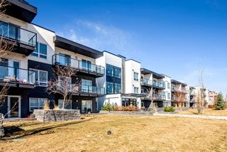 Photo 23: 215 15233 1 Street SE in Calgary: Midnapore Apartment for sale : MLS®# A2039512