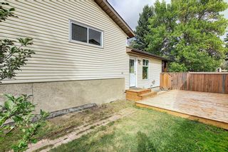 Photo 44: 4603 43 Street NE in Calgary: Whitehorn Detached for sale : MLS®# A1031744