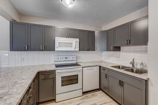 Photo 9: 202 701 56 Avenue SW in Calgary: Windsor Park Apartment for sale : MLS®# A1216699