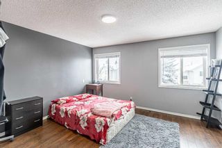 Photo 24: 55 Coral Springs Green NE in Calgary: Coral Springs Detached for sale : MLS®# A2106808