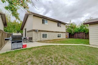 Photo 32: 311 Templeview Drive NE in Calgary: Temple Detached for sale : MLS®# A2080591