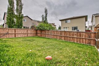 Photo 43: 2303 sagewood Heights SW: Airdrie Detached for sale : MLS®# A2053908