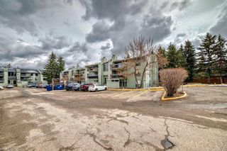 Photo 38: 518 10120 Brookpark Boulevard SW in Calgary: Braeside Apartment for sale : MLS®# A2128653