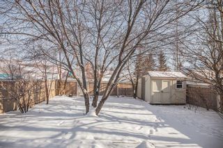 Photo 38: 806 Coventry Drive NE in Calgary: Coventry Hills Detached for sale : MLS®# A2107152
