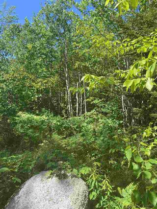 Photo 3: Lot 1 North River Road in Aylesford Lake: 404-Kings County Vacant Land for sale (Annapolis Valley)  : MLS®# 202011590
