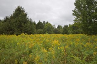 Photo 22: Lot 5 No 12 Highway in Murphy Lake: Kings County Vacant Land for sale (Annapolis Valley)  : MLS®# 202401271
