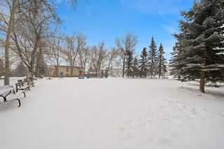 Photo 34: 2010 Westmount Road NW in Calgary: West Hillhurst Detached for sale : MLS®# A2014583