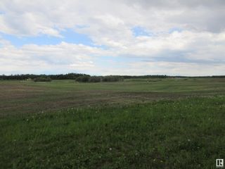 Photo 18: Twp Rd 612 RR 223: Rural Thorhild County Rural Land/Vacant Lot for sale : MLS®# E4299660