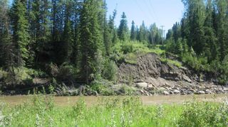 Photo 11: 14 James River Crossing: Rural Clearwater County Residential Land for sale : MLS®# A1224150