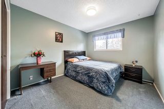 Photo 24: 44 Beddington Crescent NE in Calgary: Beddington Heights Detached for sale : MLS®# A2020634