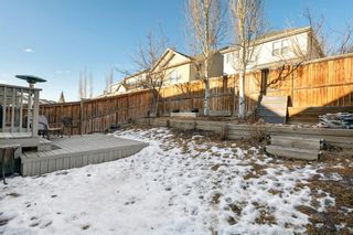 Photo 30: 46 Evansbrooke Way NW in Calgary: Evanston Detached for sale : MLS®# A1184888