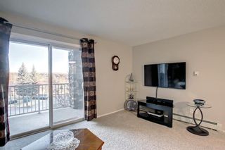 Photo 13: #312 60 Lawford Avenue: Red Deer Apartment for sale : MLS®# A1152455