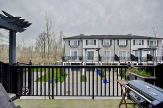 Photo 20: 77 7233 189 ST Street in Surrey: Clayton Townhouse for sale in "Tate" (Cloverdale)  : MLS®# R2045243