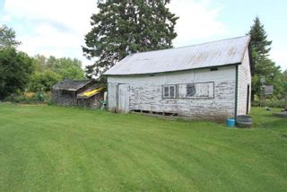 Photo 19: 40 Rocky Ridge Road in Kawartha Lakes: Rural Carden House (1 1/2 Storey) for sale : MLS®# X5322970