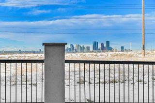 Photo 19: 1110 1110 Valleyview Park SE in Calgary: Dover Apartment for sale : MLS®# A2099354