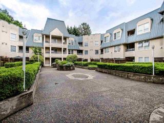 Photo 19: 306 295 SCHOOLHOUSE Street in Coquitlam: Maillardville Condo for sale in "Chateau Royale" : MLS®# R2466921
