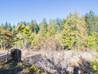 Photo 14: LOT 4 Extension Rd in NANAIMO: Na Extension Land for sale (Nanaimo)  : MLS®# 830670
