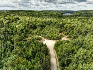 Photo 22: 22161 Highway 7 in Sheet Harbour: 35-Halifax County East Vacant Land for sale (Halifax-Dartmouth)  : MLS®# 202225450