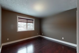 Photo 29: 1254 ADAMSON DR. SW in Edmonton: House for sale : MLS®# E4241926