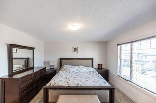 Photo 18: 22 Royal Birch Way NW in Calgary: Royal Oak Detached for sale : MLS®# A2013837