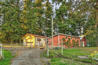 Photo 14: 4520 Markham St in VICTORIA: SW Beaver Lake House for sale (Saanich West)  : MLS®# 798977