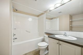 Photo 18: 310 2000 Applevillage Court SE in Calgary: Applewood Park Apartment for sale : MLS®# A2125538