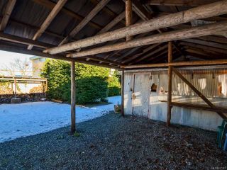 Photo 56: 800 Alder St in CAMPBELL RIVER: CR Campbell River Central House for sale (Campbell River)  : MLS®# 747357