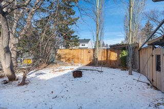 Photo 37: 2904 11 Avenue NW in Calgary: St Andrews Heights Detached for sale : MLS®# A2015223
