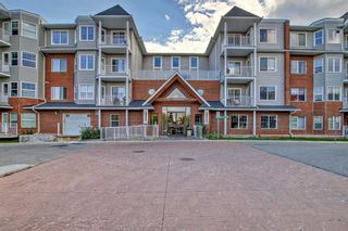 Main Photo: 302 8 Prestwick Pond Terrace SE in Calgary: McKenzie Towne Apartment for sale : MLS®# A2081798