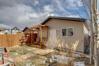 Photo 28: 36 Marquis Green SE in Calgary: Mahogany Detached for sale : MLS®# A1202396