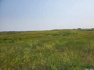 Photo 5: Stanley RM Pasture Land in Stanley: Farm for sale (Stanley Rm No. 215)  : MLS®# SK940688