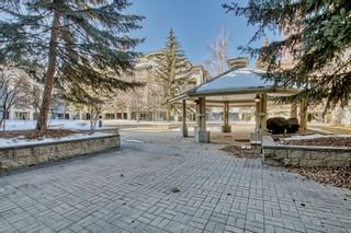 Photo 29: 211 35 Richard Court SW in Calgary: Lincoln Park Apartment for sale : MLS®# A2033165