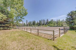 Photo 31: 178125 240 Street W: Rural Foothills County Detached for sale : MLS®# A2099452