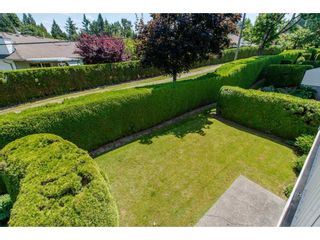 Photo 18: 50 3054 TRAFALGAR Street in Abbotsford: Central Abbotsford Townhouse for sale in "Whispering Pines" : MLS®# R2183313