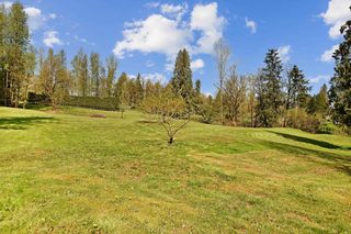 Photo 29: 29615 CAMELOT Avenue in Abbotsford: Bradner House for sale : MLS®# R2827658