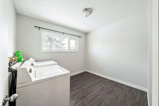 Photo 10: 2436 44 Street SE in Calgary: Forest Lawn Detached for sale : MLS®# A2022356