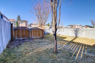 Photo 45: 80 Martinbrook Road NE in Calgary: Martindale Detached for sale : MLS®# A1162744