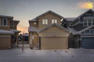 Main Photo: 273 Redstone Heights NE in Calgary: Redstone Detached for sale : MLS®# A2119683