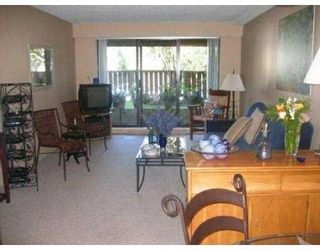 Photo 3:  in Vancouver: Kitsilano Home for sale ()  : MLS®# V556074