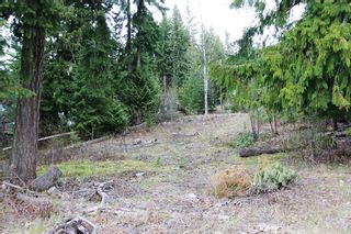 Photo 14: 99 Fraser Crescent: Anglemont Land Only for sale (North Shuswap)  : MLS®# 10097577