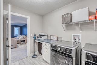 Photo 23: 127 Masters Way SE in Calgary: Mahogany Detached for sale : MLS®# A2018304