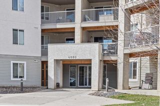 Photo 2: 320 4000 Citadel Meadow Point NW in Calgary: Citadel Apartment for sale : MLS®# A2123539
