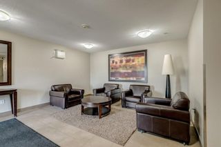 Photo 25: 407 11 MILLRISE Drive SW in Calgary: Millrise Apartment for sale : MLS®# A1108723