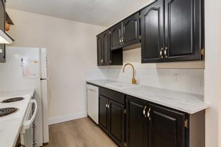 Photo 17: 203 1202 13 Avenue SW in Calgary: Beltline Apartment for sale : MLS®# A2095854