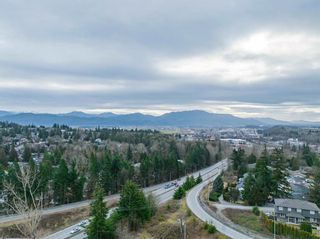 Photo 25: 2469 BECK Road in Abbotsford: Central Abbotsford Land Commercial for sale : MLS®# C8057901
