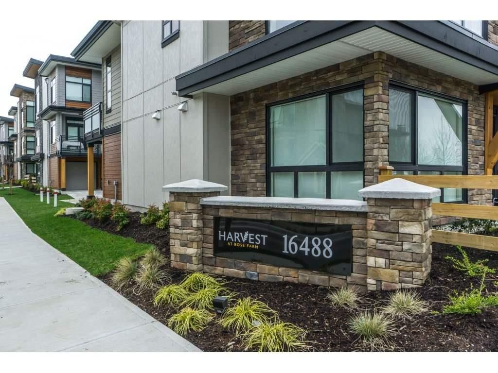Main Photo: 53 16488 64 Avenue in Surrey: Cloverdale BC Townhouse for sale in "HARVEST at BOSE FARM" (Cloverdale)  : MLS®# R2364195