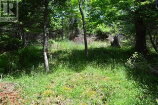 Photo 26: Lot 2 Blue Rocks Road in Garden Lots: Vacant Land for sale : MLS®# 202311970